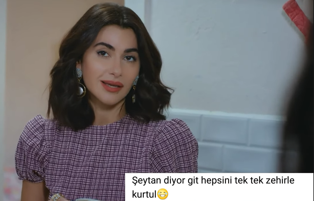 şahika zehir.png