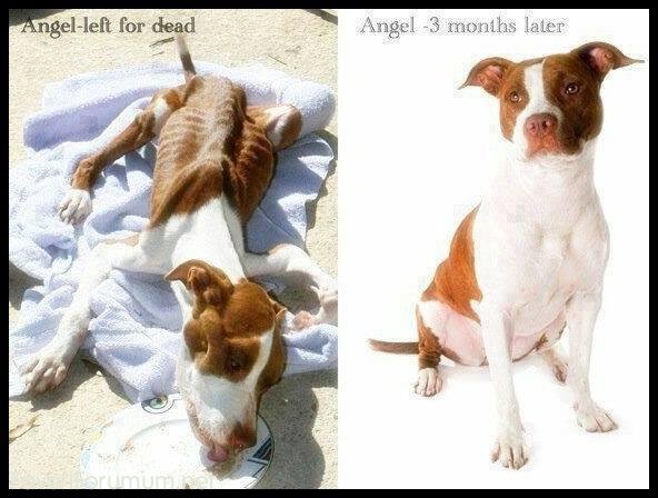 BZL97EfCcAAT-zt.jpg large.jpg