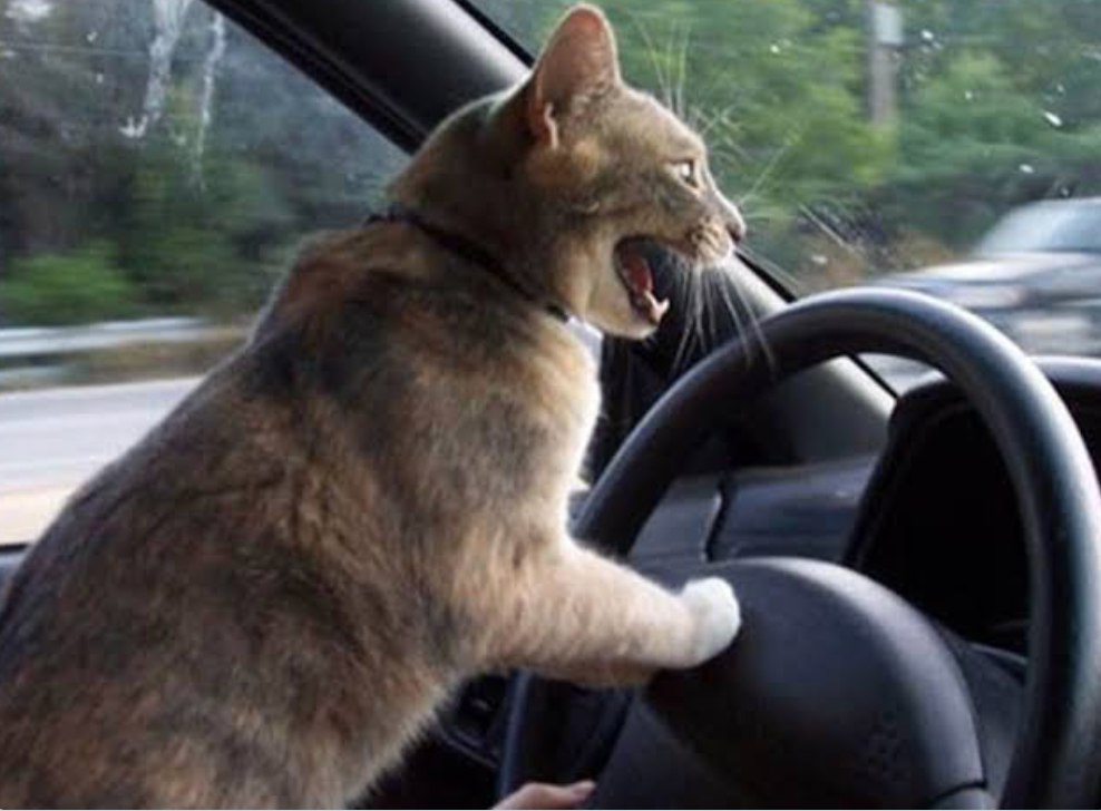 Ekran Resmi 2025-07-23 00.31.12.png