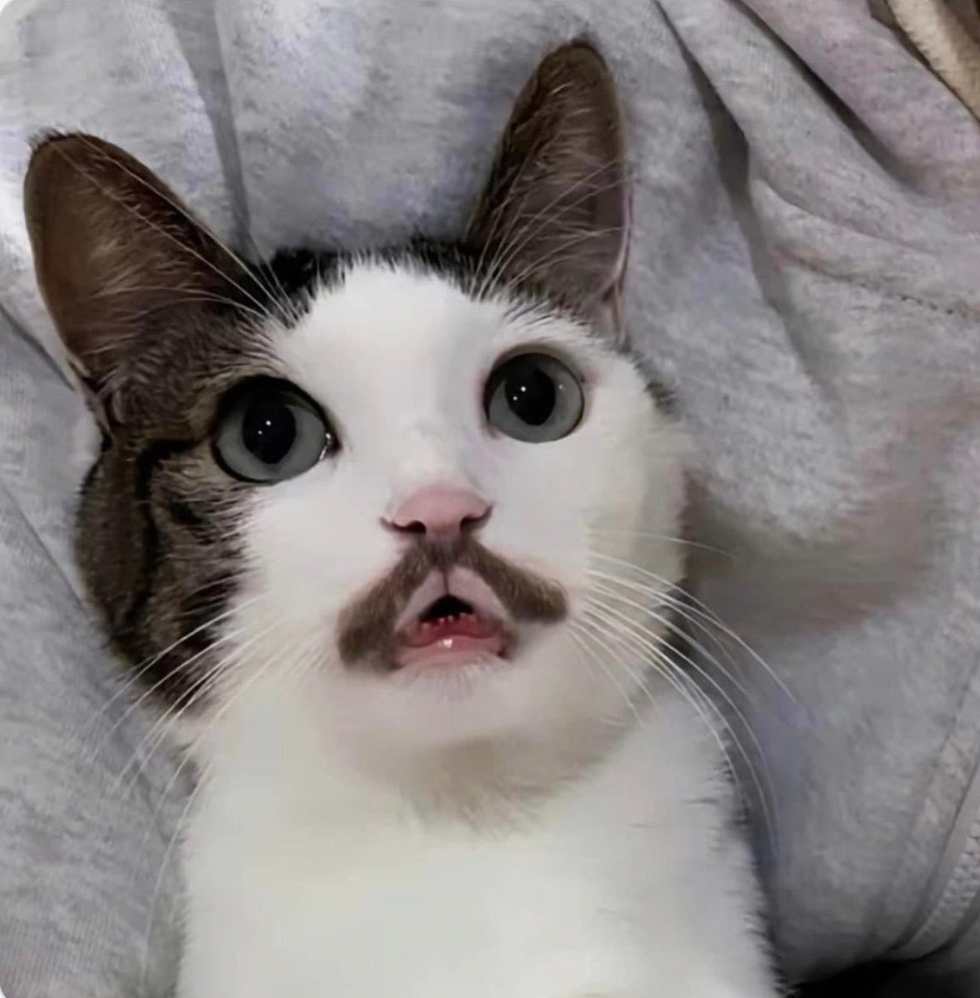 Ekran Resmi 2025-08-25 22.56.50.png