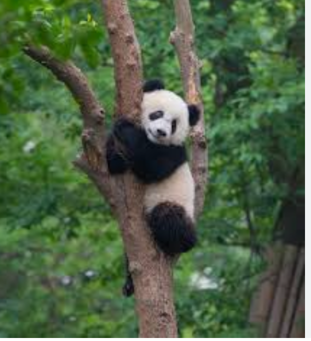 Ekran Resmi 2025-09-15 23.56.39.png