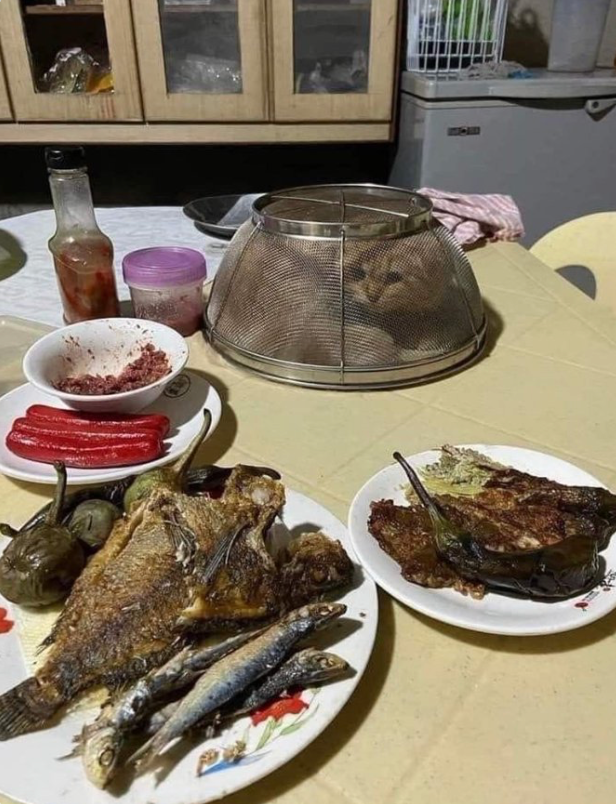 Ekran Resmi 2025-09-21 20.07.13.png