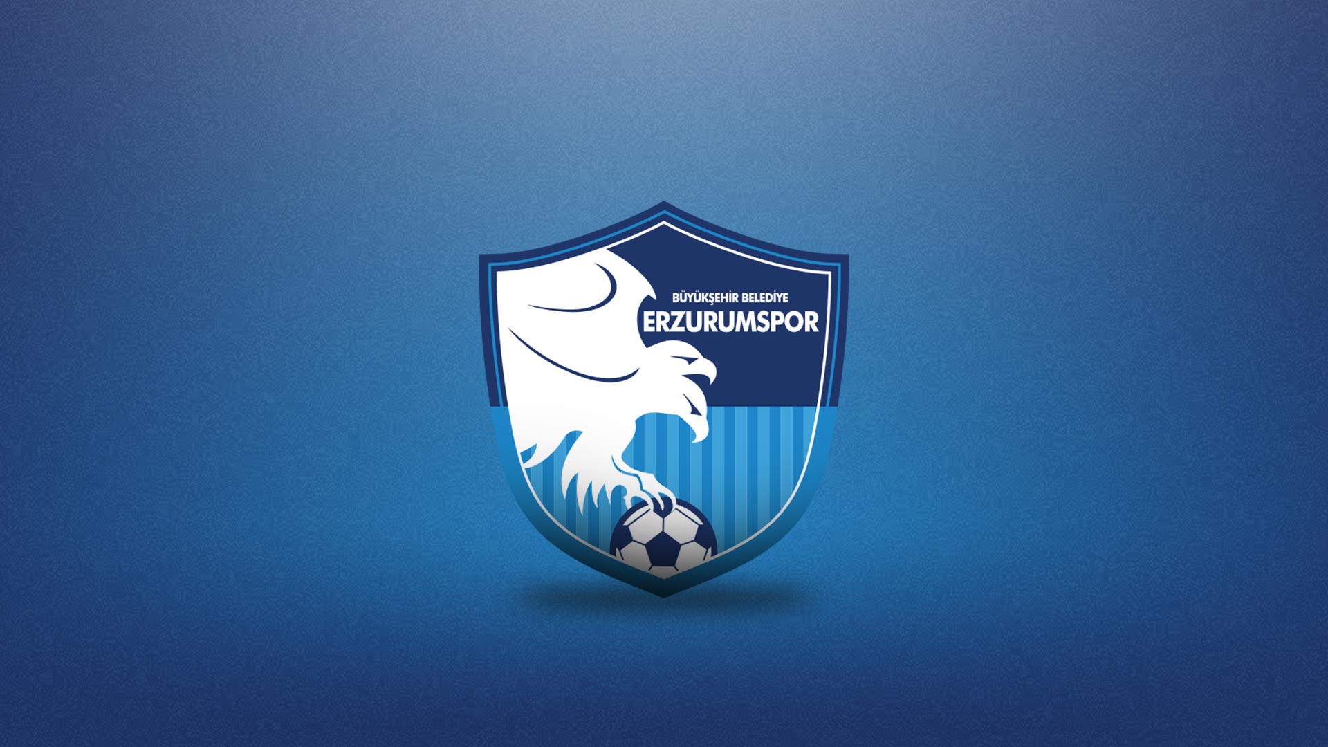 Erzurumspor.jpg