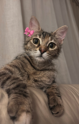 Opera Anlık Görüntü_2025-08-10_141643_x.com.png