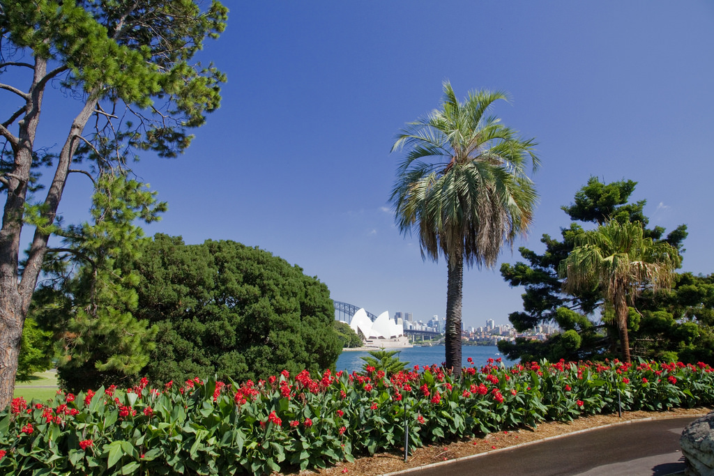 Royal Botanic Garden Sydney - 2.jpeg