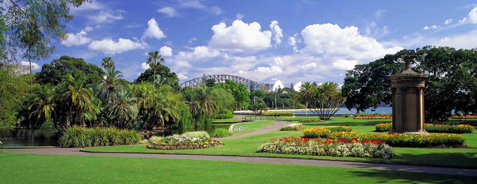 Royal Botanic Garden Sydney - 3.jpg