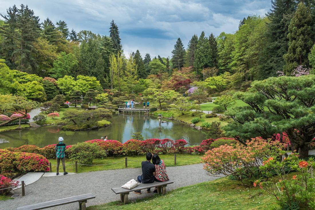 Seattle Japanese Garden.jpg