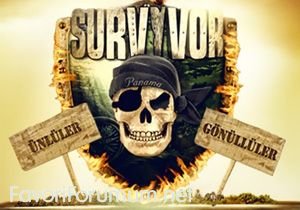 survivor-8.jpg