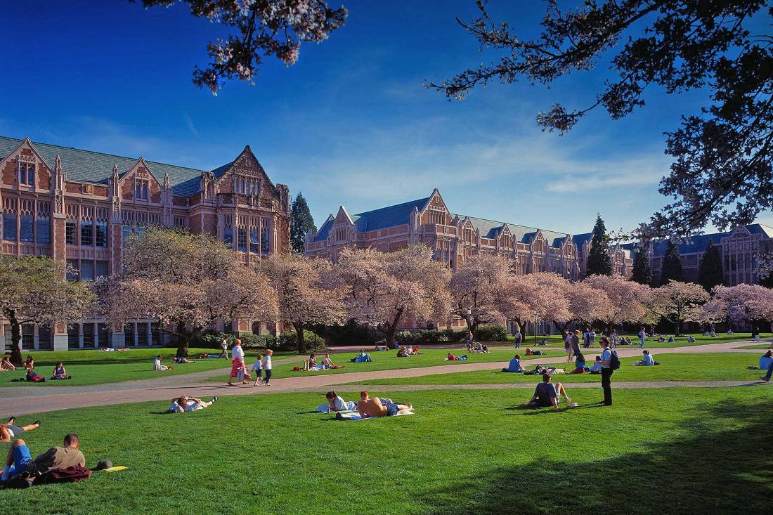 University of Washington - 2.jpg