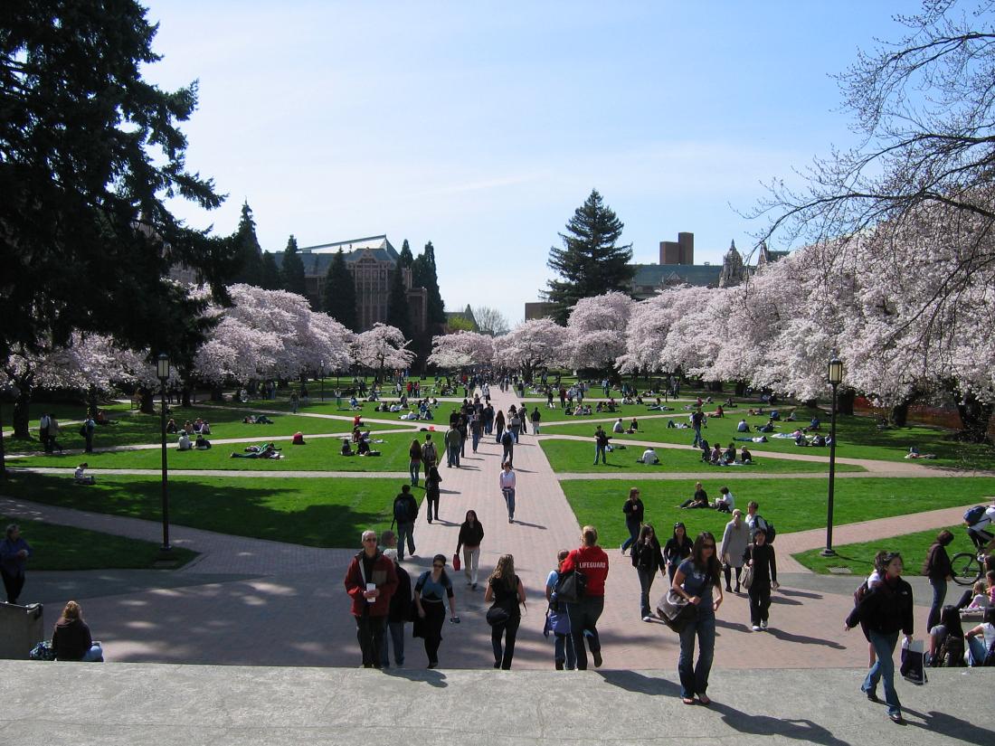 University of Washington.jpeg