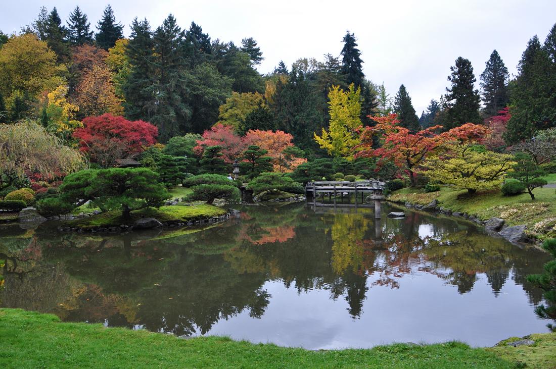 Washington Park Arboretum - 1.jpg