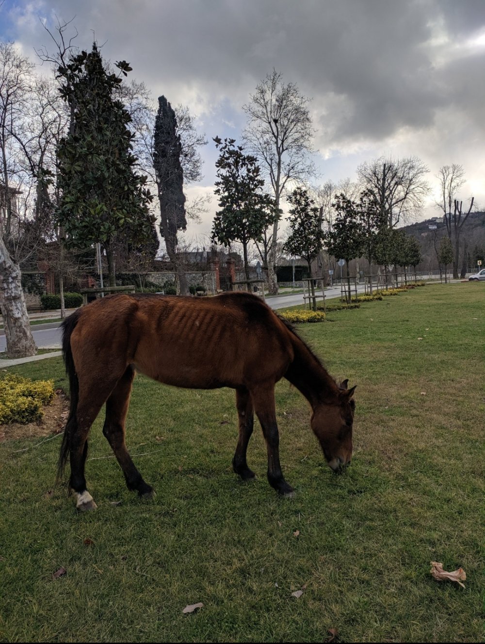 IMG_20220219_175142.jpg IMG_20220219_175142.jpg