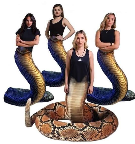 images - 2022-05-23T011044.755.jpeg images - 2022-05-23T011044.755.jpeg