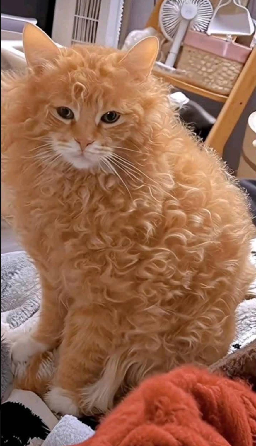 Ekran Resmi 2025-05-27 01.30.13.png