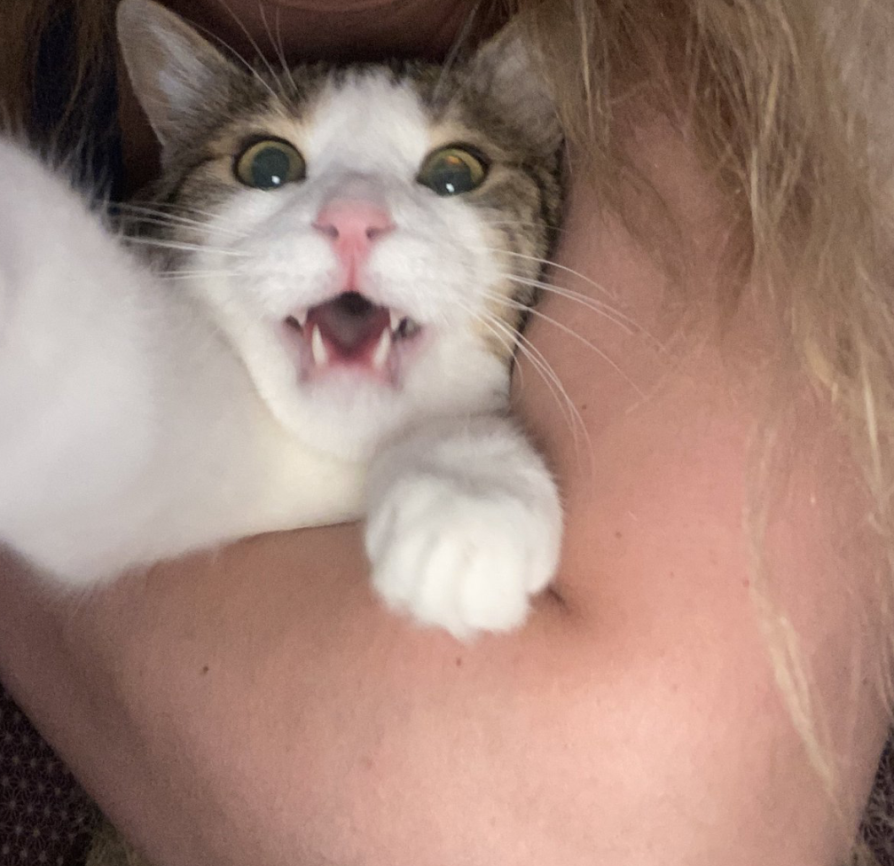 Ekran Resmi 2025-06-18 01.58.04.png