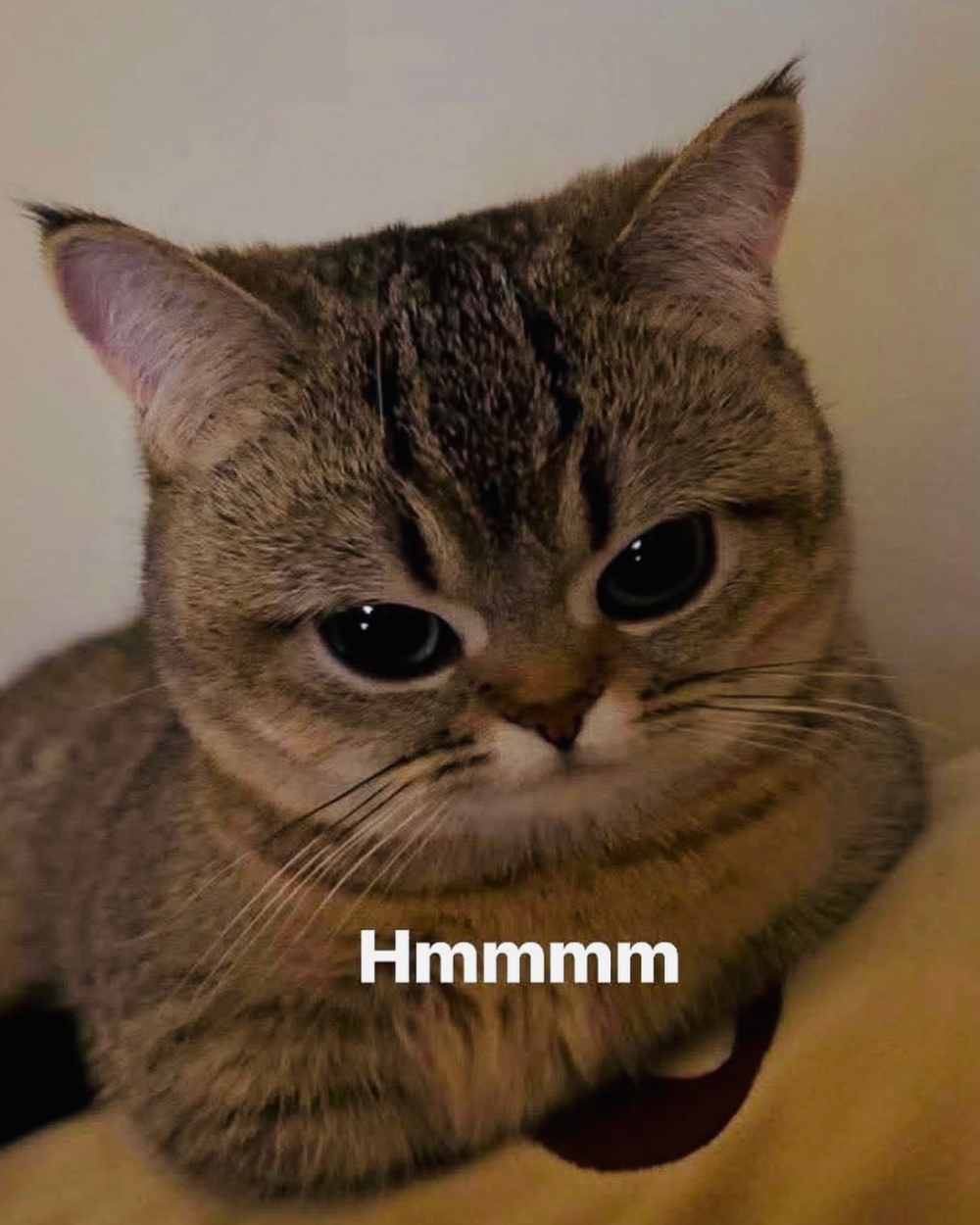 Ekran Resmi 2025-06-22 00.54.26.png