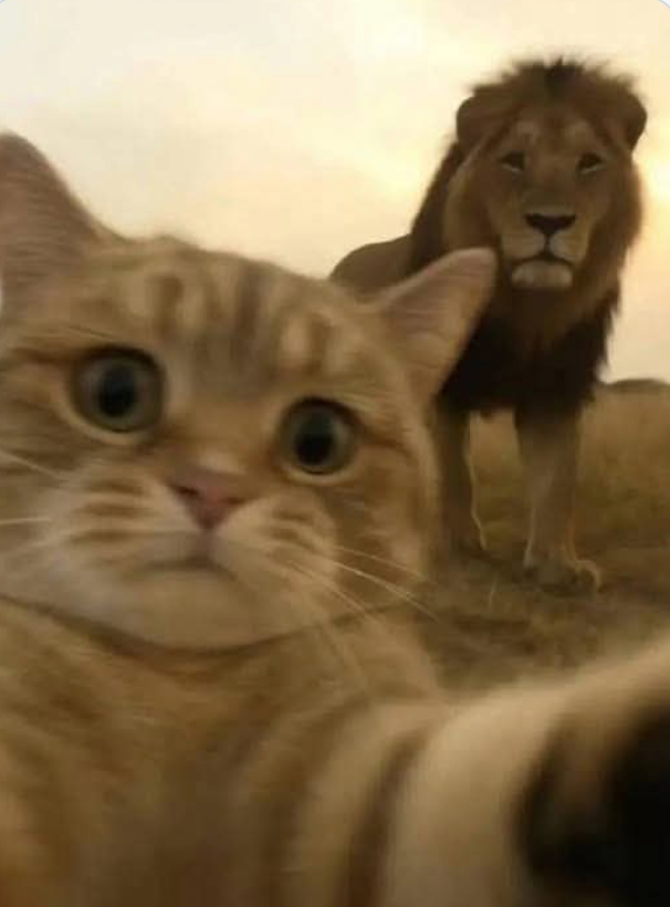 Ekran Resmi 2025-09-19 20.12.58.png