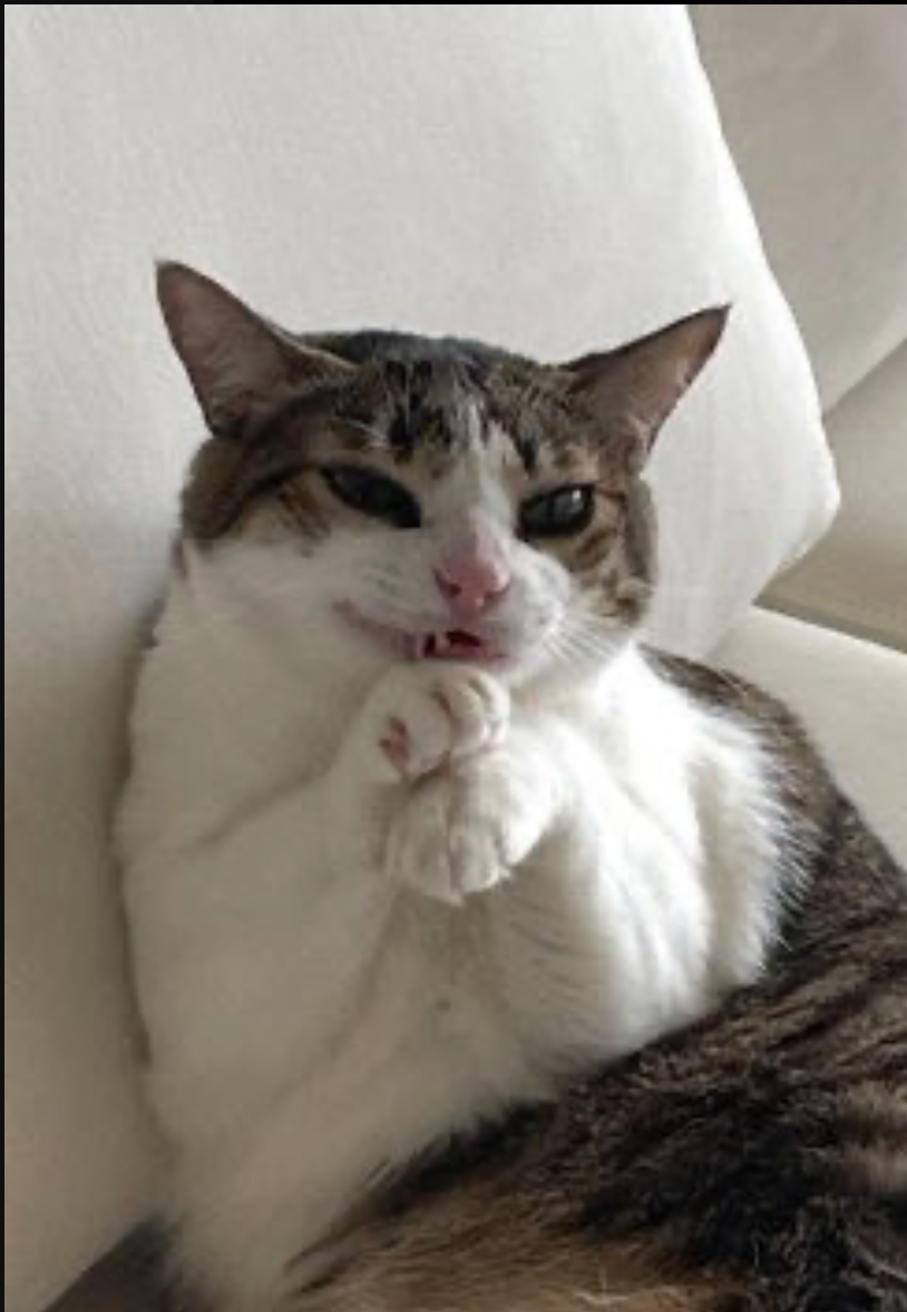 Ekran Resmi 2025-09-22 03.42.17.png