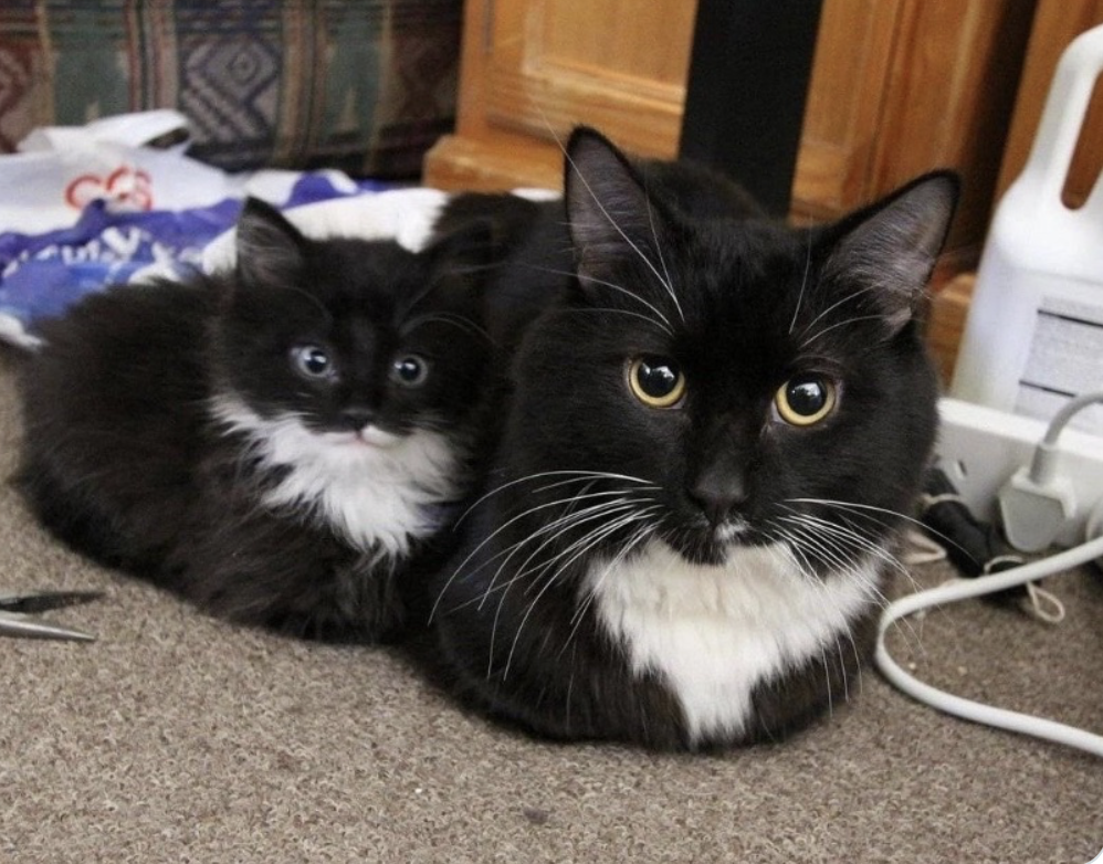 Ekran Resmi 2025-09-27 05.00.18.png Ekran Resmi 2025-09-27 05.00.18.png