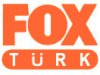aupload.wikimedia.org_wikipedia_tr_f_fd_Fox_turk.jpg